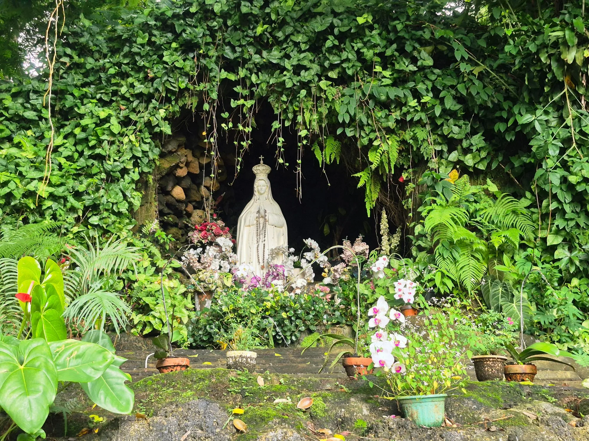 Gua Maria Sawer Rahmat Cisantana — patung Bunda Maria Fatima di ceruk batu, dikelilingi pakis, orkid, dan undakan berlumut